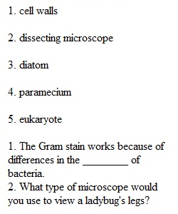 Practice Lab Exam 1